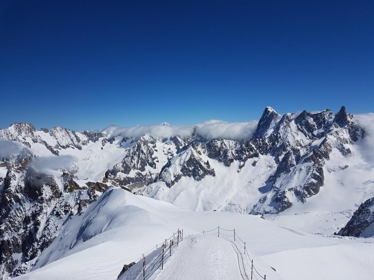 Vue Brevent Sublime En Centre Ville Avec Parking Prive Chamonix Bagian luar foto